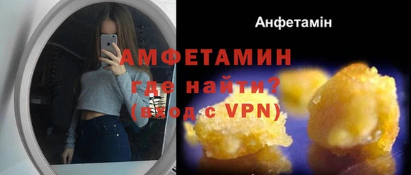 ПСИЛОЦИБИНОВЫЕ ГРИБЫ Каменка