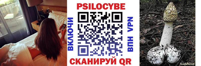 Купить Заполярный Галлюциногенные грибы Cubensis